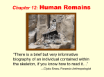 chapter 12 human remains