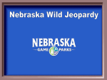 Wildlife Jeopardy