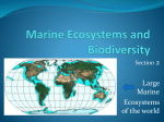 Marine Ecosystems & Biodiversity