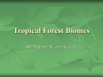 Tropical Forest Biomes