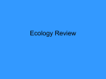 Evolution Review