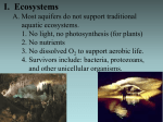 Ecosystems of Aquifers and Springs