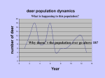 Populations PPT