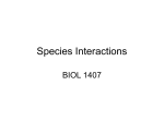 Species Interaction