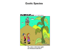 exotic species