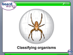 Classifying organisms