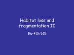 Habitat loss and fragmentation II