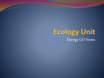 Ecology Part 2