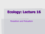 Ecology: Lecture 1