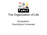 The Organization of Life