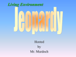 MT Jeopardy 2