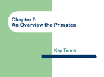 Chapter 5 Overview of Living Primates