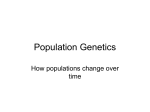 Population Genetics