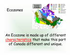 Why does Canada look this way?