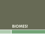 Biomes PPT