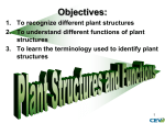 Plant Parts and Functions