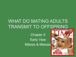 WHAT DO MATING ADULTS TRANSMIT TO OFFSPRING