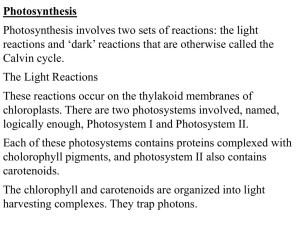 Photosynthesis and alternate pathways