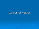 Cycles of Matter