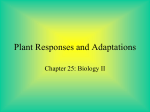 Plant Responses and Adaptations