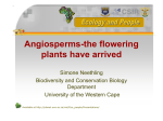 Angiosperms-the flowering plants have arrived