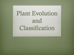 Plant Evolution and Classification