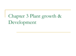 Chapter 3 Plant growth & Develpoment