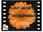 Plant Growth & Development