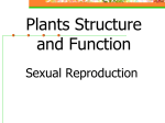 Plant Anatomy & Physiology