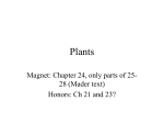 Plants