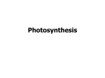 Photosynthesis - De Anza College