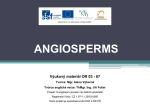 Angiosperms