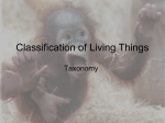 Classification of Living Things