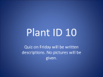 Plant ID 10 - Schoolwires