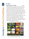 Bacterial spot of cucurbits: