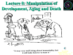 Lecture 8 - Michigan State University