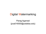 Digital Watermarking