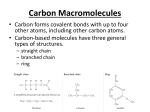 Carbohydrates