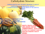 Carbohydrate Structure