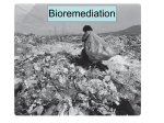 Lecture #3 - Bioremediation