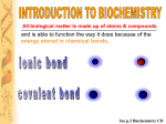 Intro to Biochem - Lighthouse Christian Academy