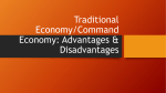 Traditional Economy: Advantages & Disadvantages