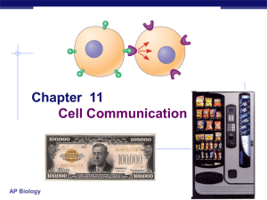 AP Biology - Revere Local Schools