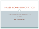 GRASS ROOTS INNOVATION