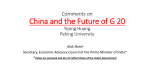 China and the G 20