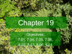 Chapter 19