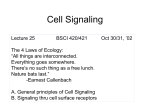 Cell Signaling