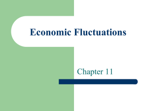 Economic Fluctuations