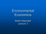 Environmental Economics