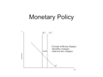 Monetary Policy